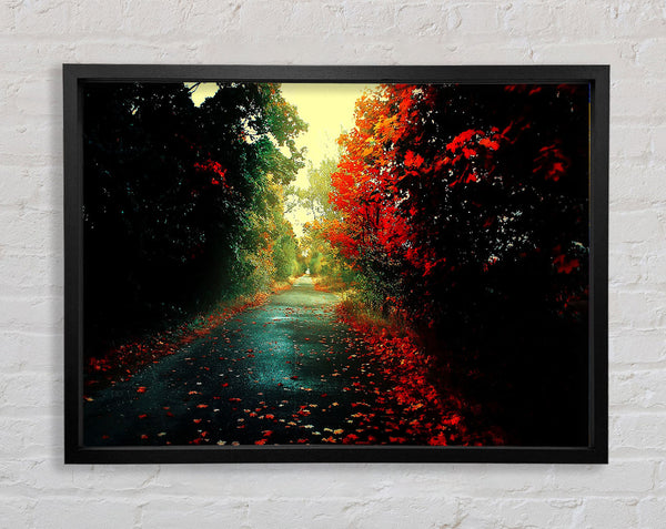 Red Trees On The Autumn path Framed Print