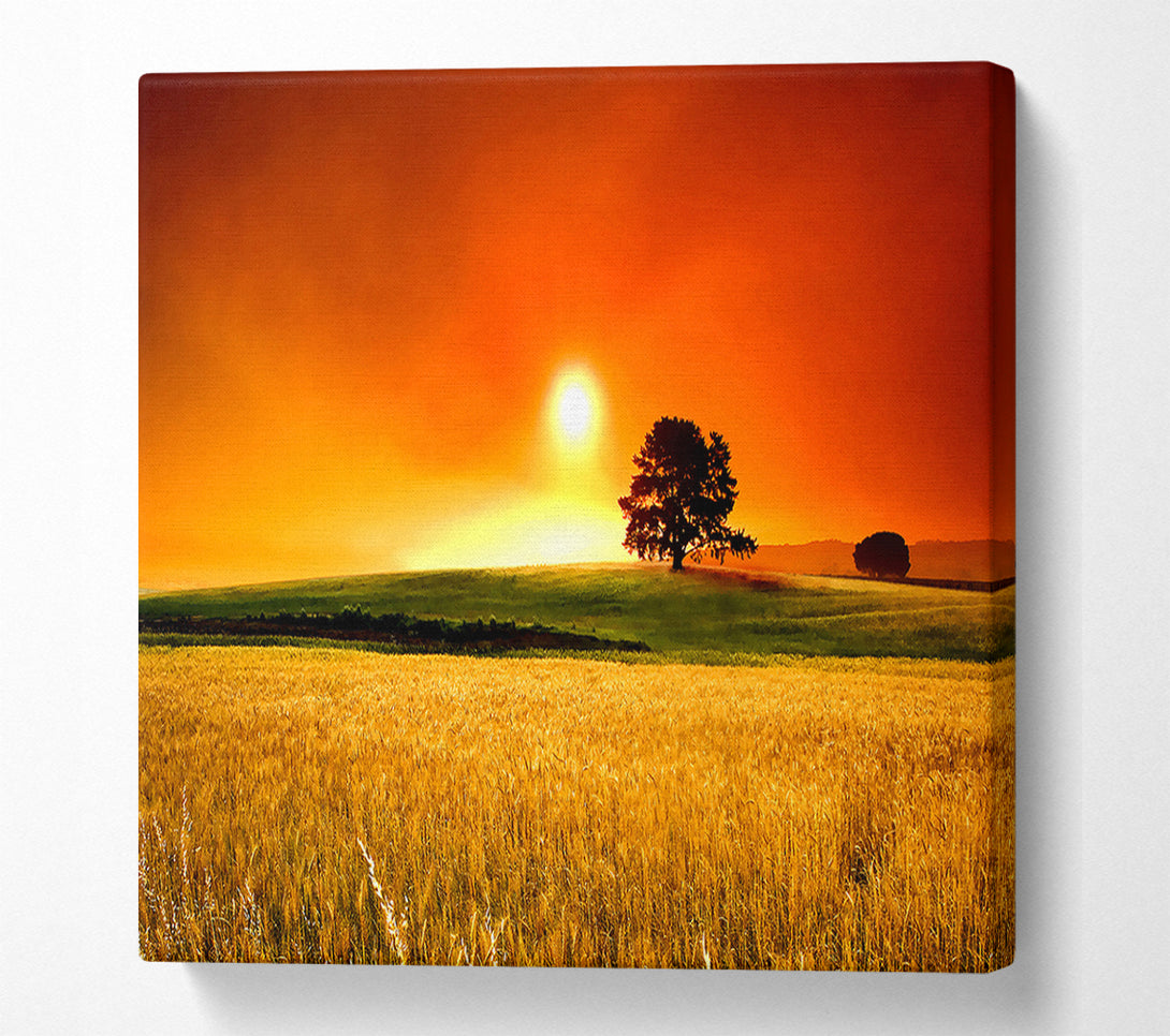  A Canvas Print of Summer Sunset Canvas Wall Art