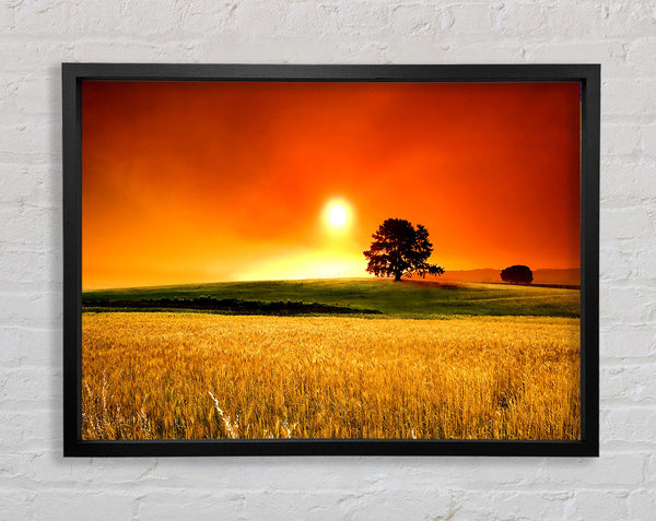 Summer Sunset Framed Print