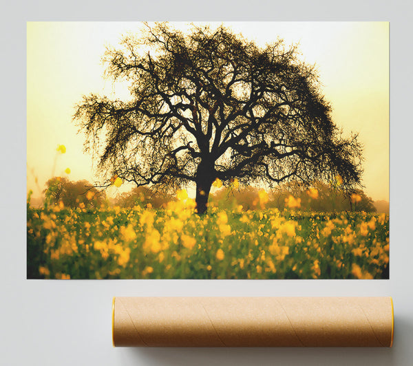 Spring Field Giclee Print