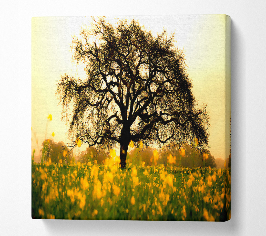  A Canvas Print of Spring Field Canvas Print