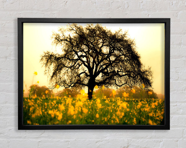 Spring Field Framed Print