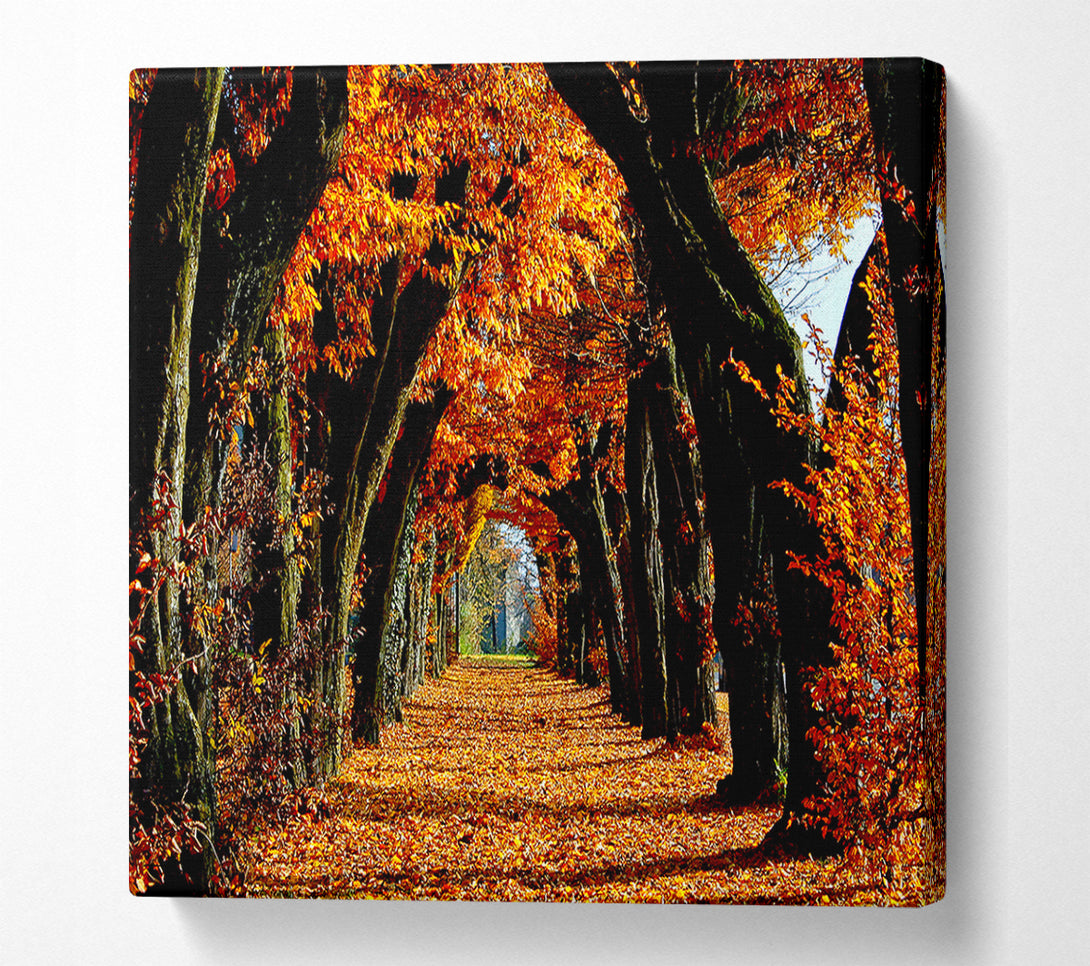  A Canvas Print of Beautiful Path Canvas Print