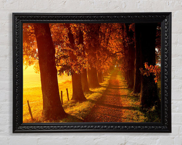 Autumn Walk Framed Print