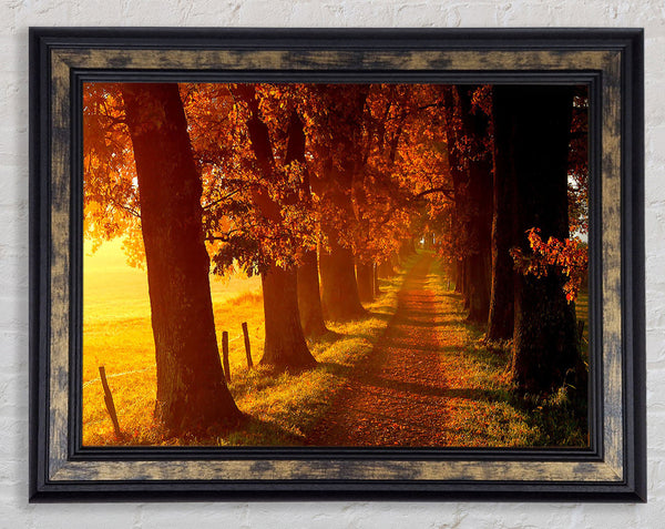 Autumn Walk Framed Print