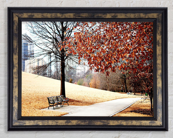 Autumn In The Park Framed Print