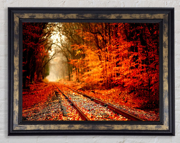 Autumn Railway Framed Print