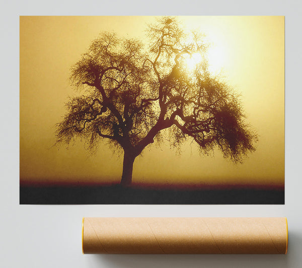 Early Morning Fog Tree Print