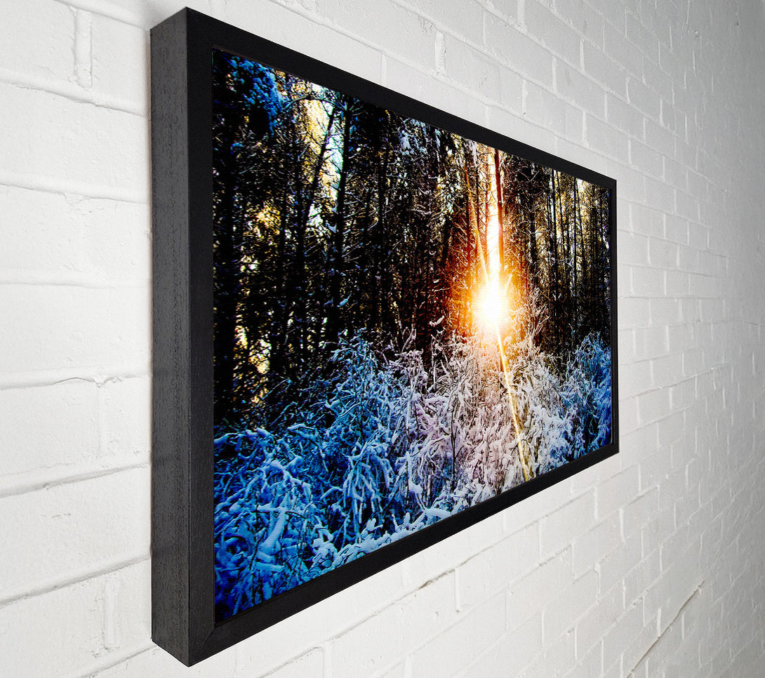  A Canvas Print of Sunlight Through Trees Winter Canvas Wall Art