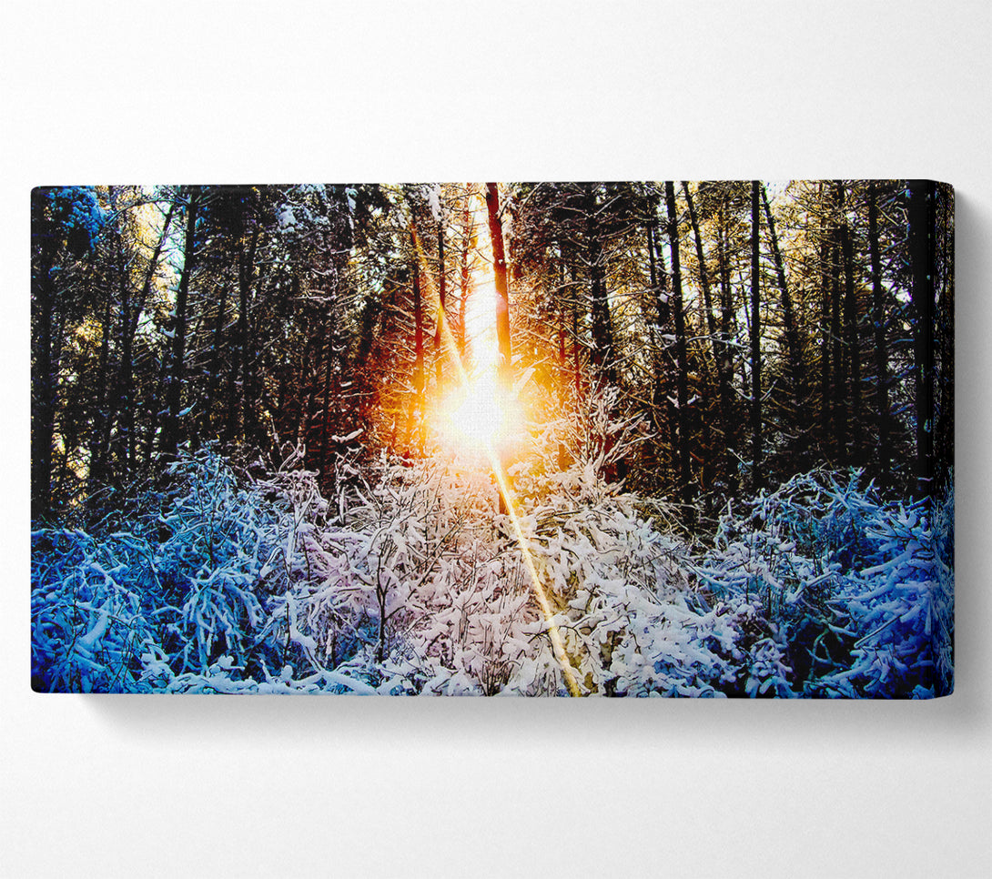  A Canvas Print of Sunlight Through Trees Winter Canvas Wall Art