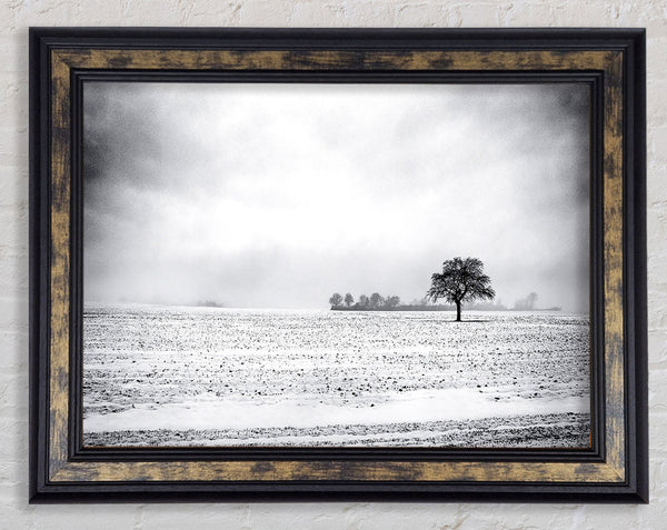 Empty Field Winter Framed Print
