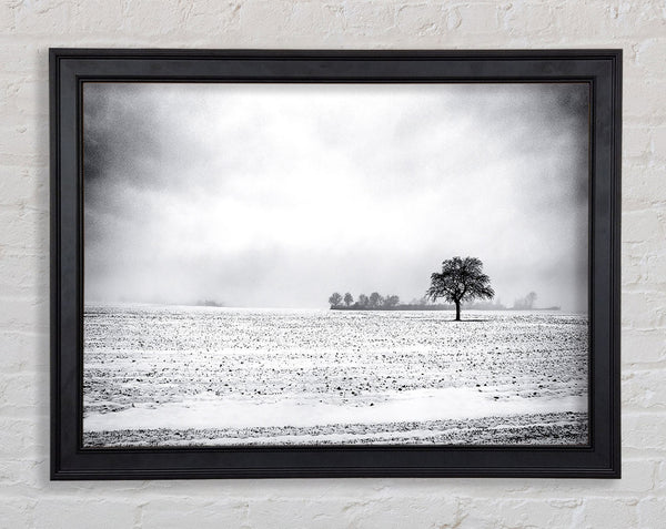 Empty Field Winter Framed Print
