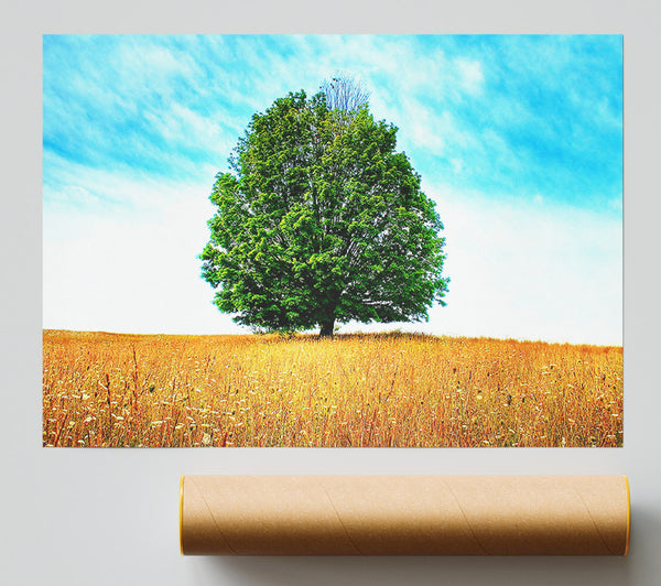 Late Summer Giclee Print