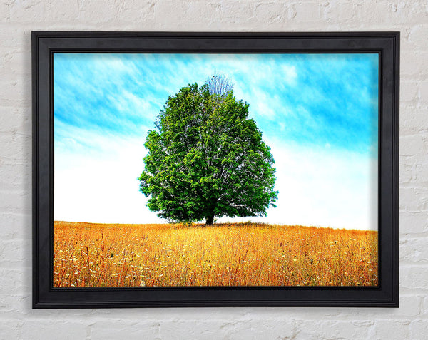 Late Summer Framed Print