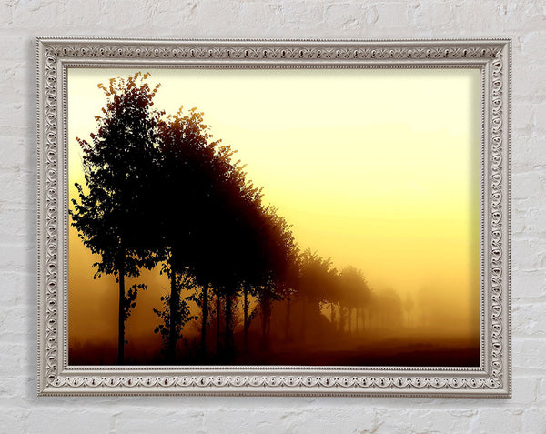Beautiful Foggy Day Framed Print