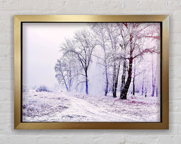 Beautiful Snowy Forest Framed Print