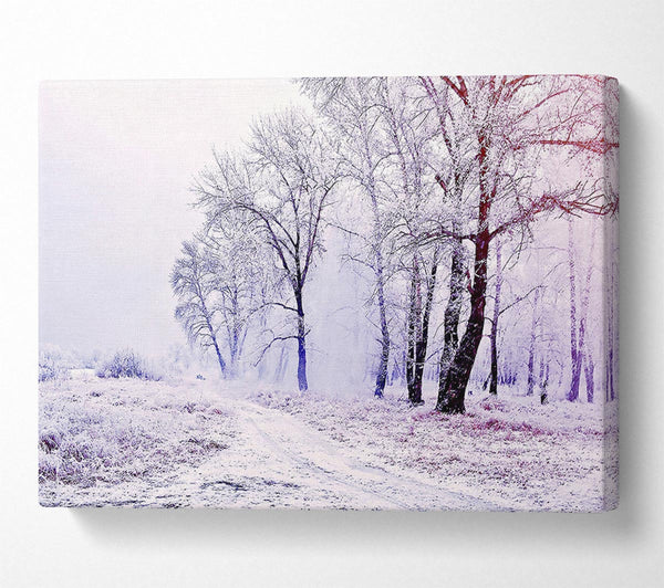  A Canvas Print of Beautiful Snowy Forest Canvas Print