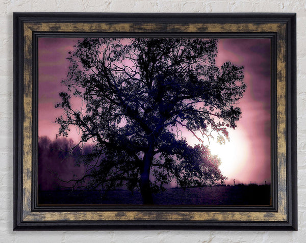 Tree Under Full Moon Framed Print