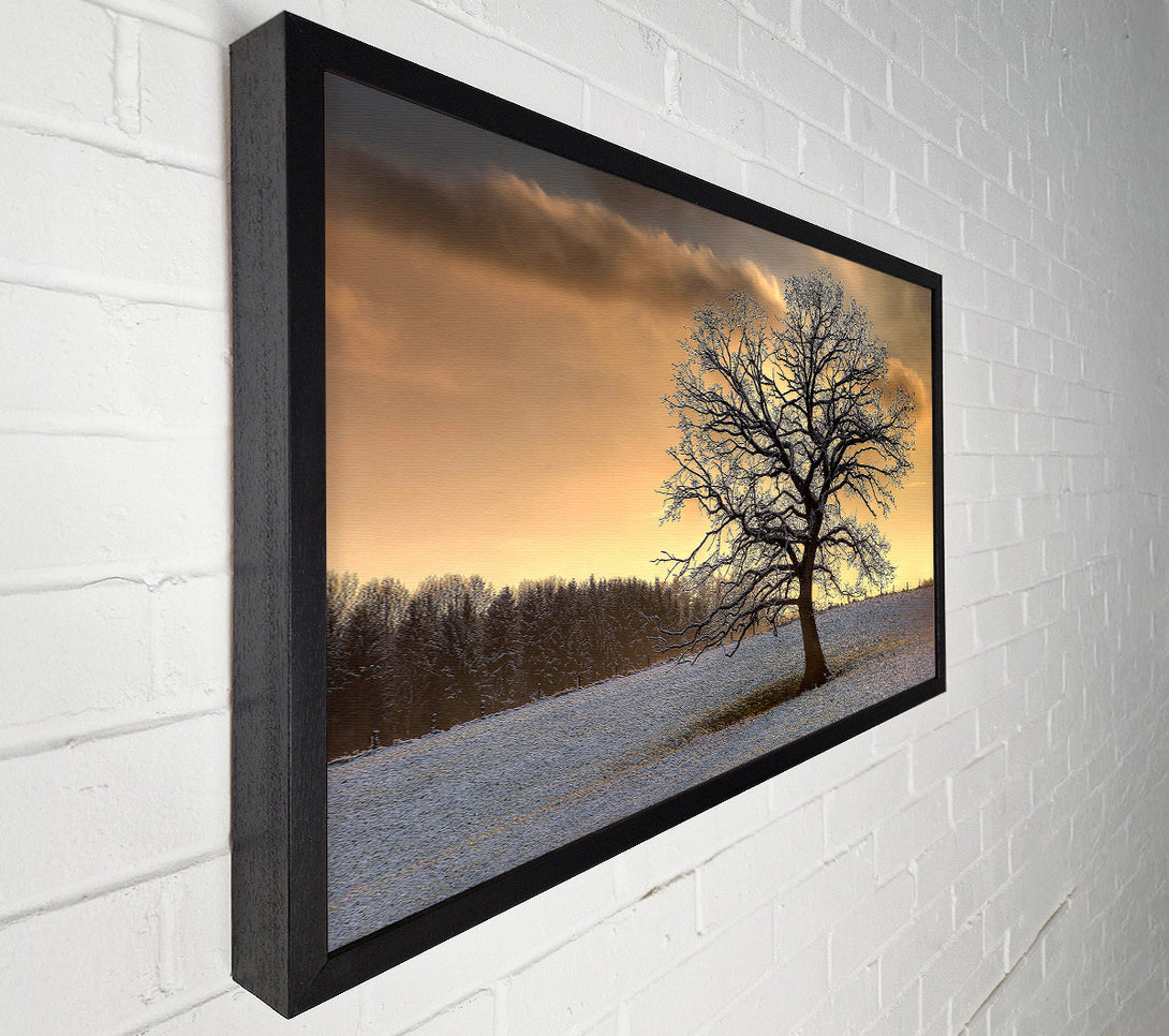  A Canvas Print of Solitary Tree Winter Canvas Wall Art