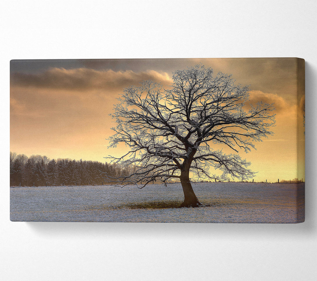  A Canvas Print of Solitary Tree Winter Canvas Wall Art