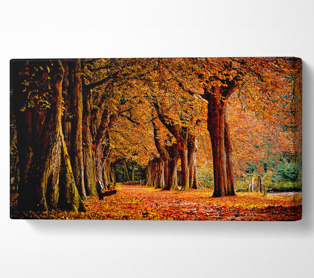  A Canvas Print of Park Autumn Canvas Art
