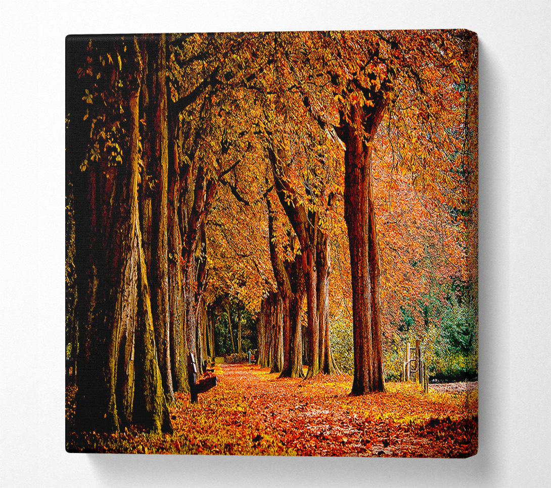  A Canvas Print of Park Autumn Canvas Art