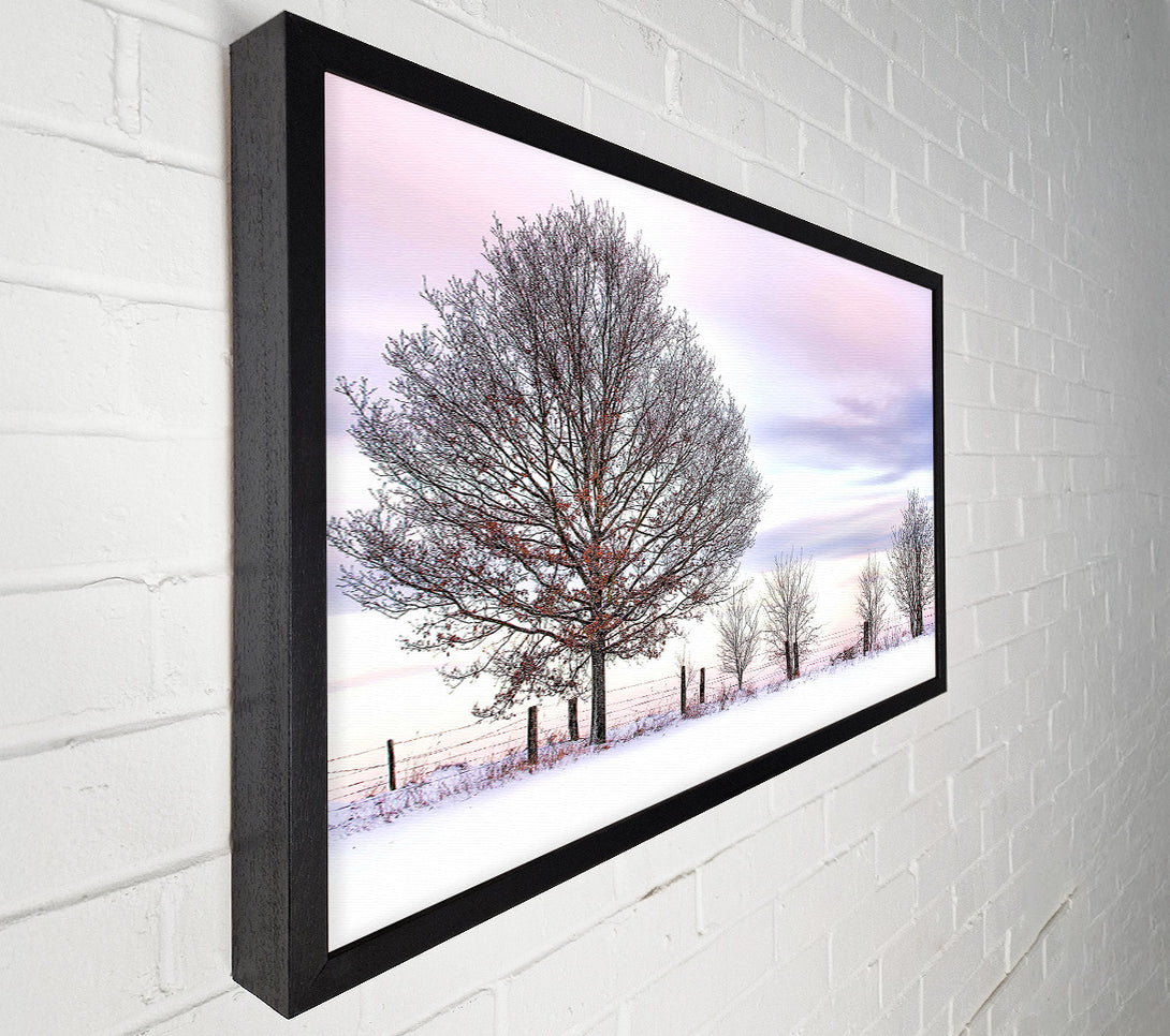  A Canvas Print of Trees And Fence Winter Canvas Wall Art