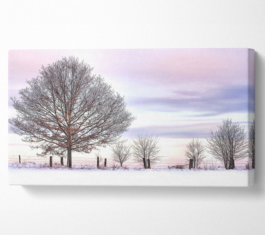  A Canvas Print of Trees And Fence Winter Canvas Wall Art