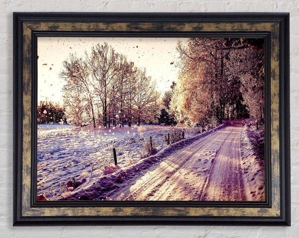 Pathway Winter Framed Print