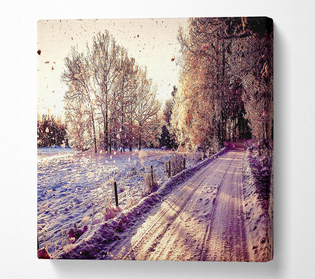  A Canvas Print of Pathway Winter Canvas Print