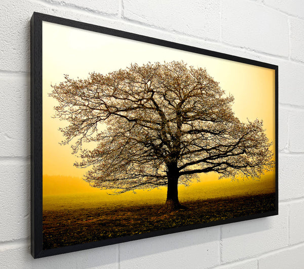 Beautiful Dusk Tree
