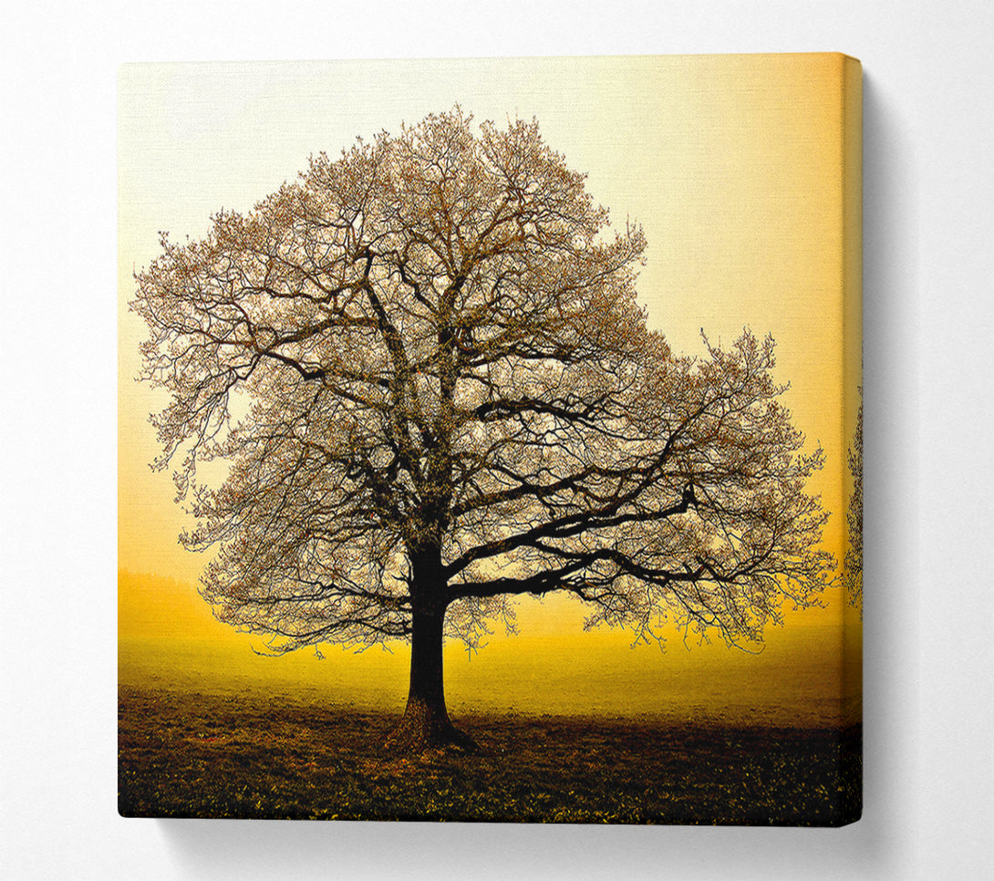  A Canvas Print of Beautiful Dusk Tree Canvas Wall Art