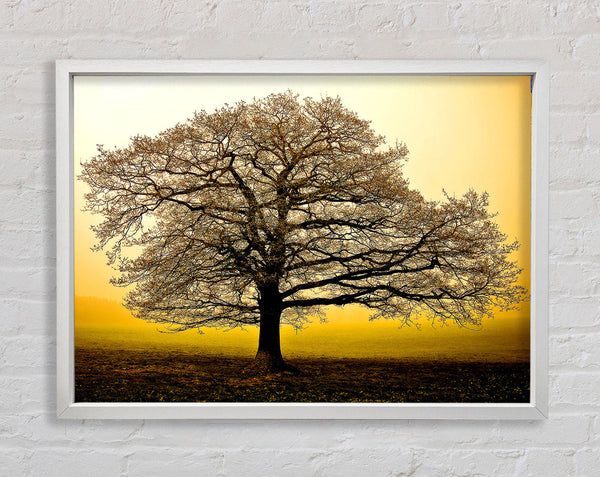 Beautiful Dusk Tree Framed Print