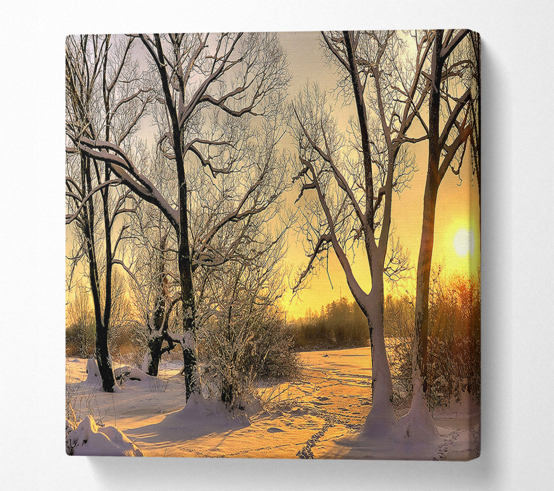  A Canvas Print of Footsteps In Snow Canvas Art