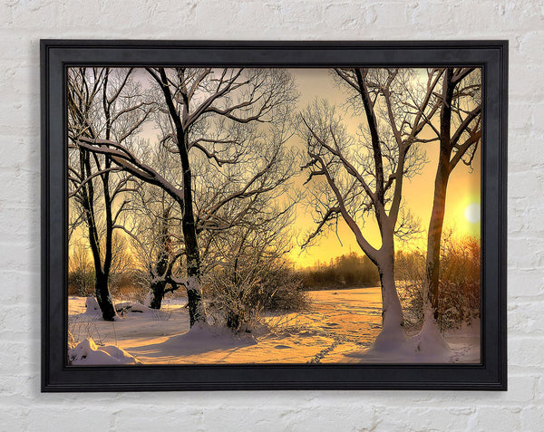 Footsteps In Snow Framed Print
