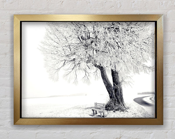 Bench Under Tree Winter Framed Print