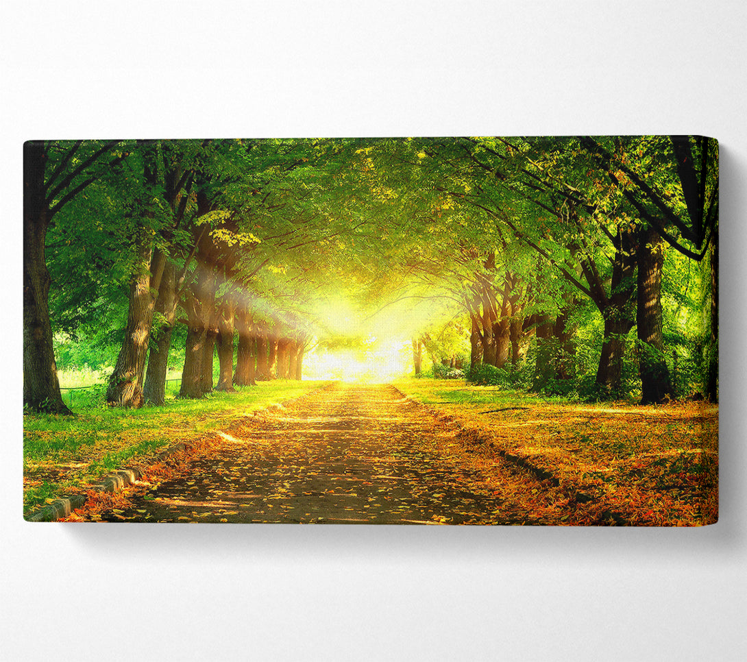  A Canvas Print of Autumn Path Canvas Print