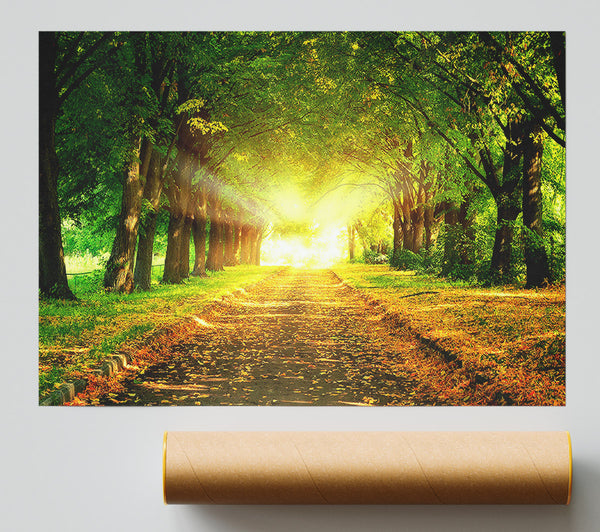 Autumn Path Print