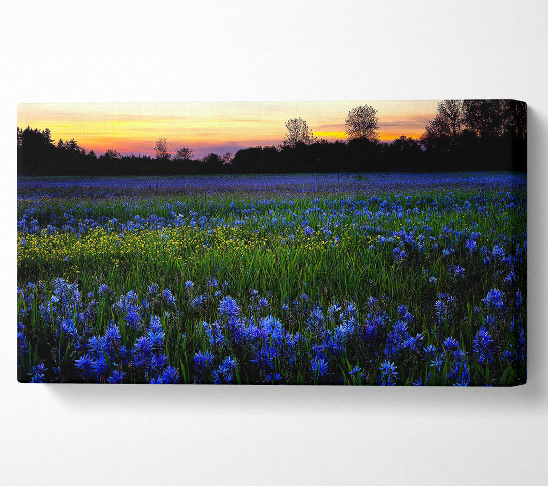  A Canvas Print of Blue Flowers Canvas Art