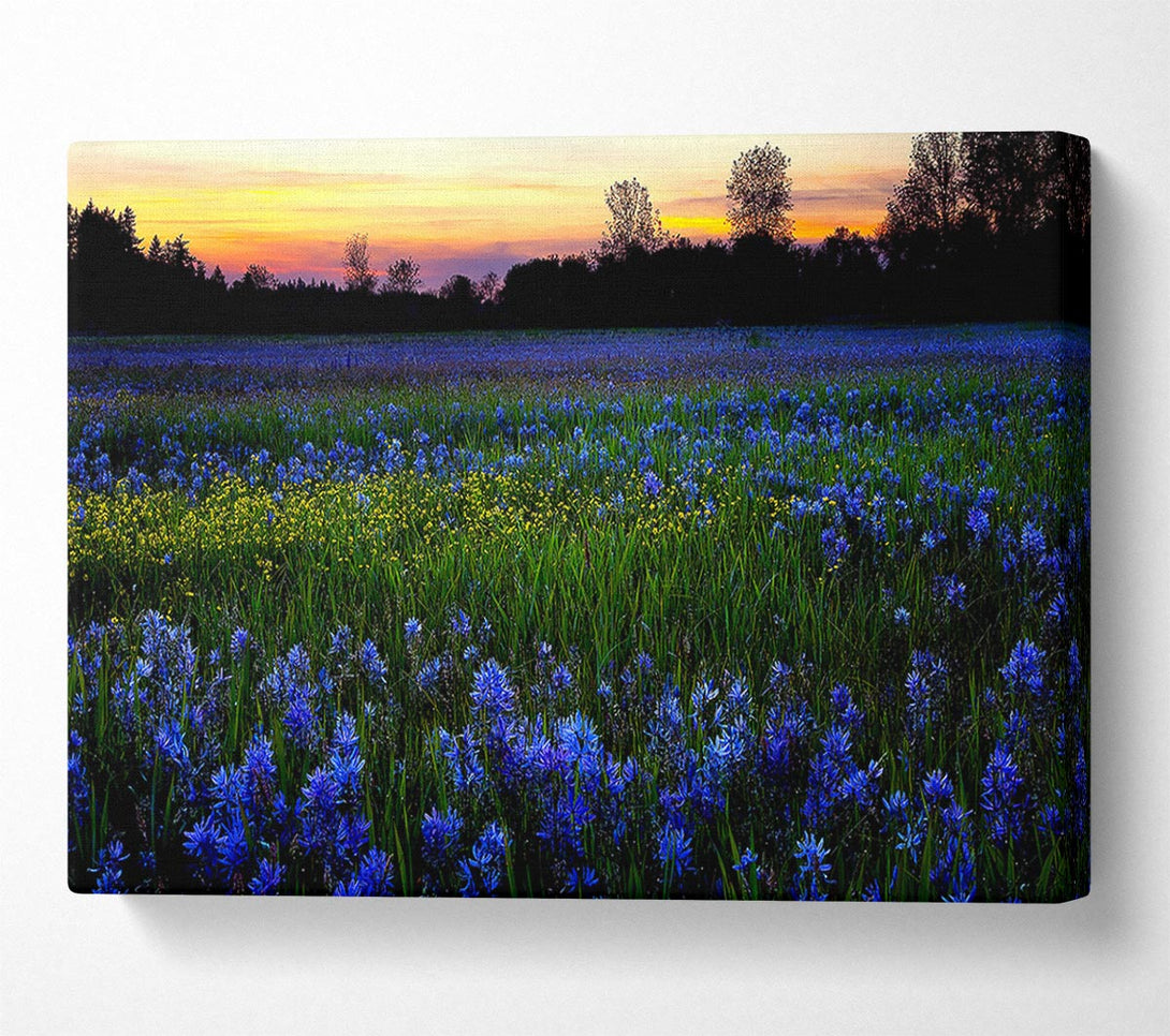  A Canvas Print of Blue Flowers Canvas Art