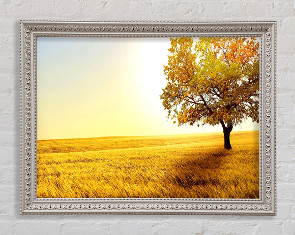 Golden Trees Fields Framed Print