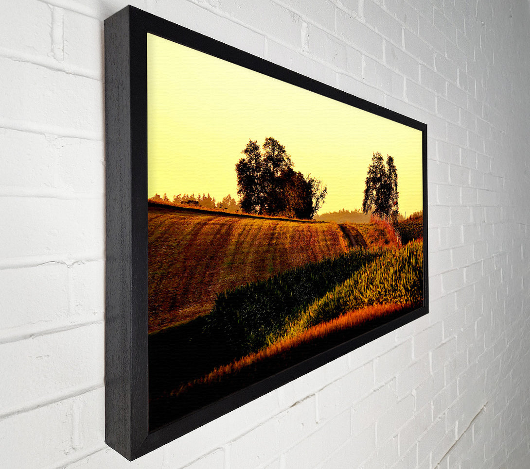  A Canvas Print of Summer Day Canvas Print