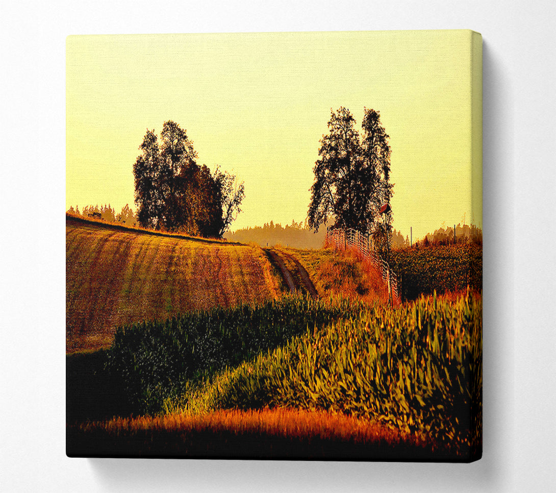  A Canvas Print of Summer Day Canvas Print
