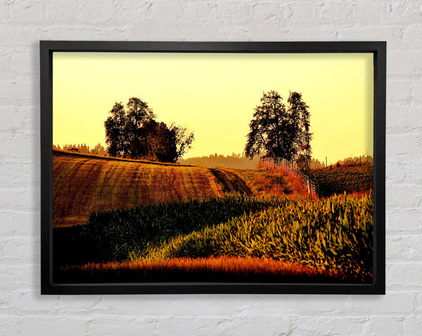 Summer Day Framed Print