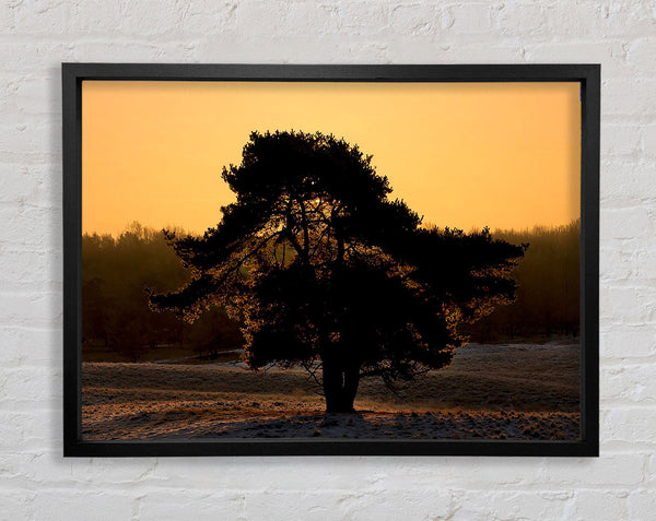 Stunning Old Tree At Dusk Framed Print