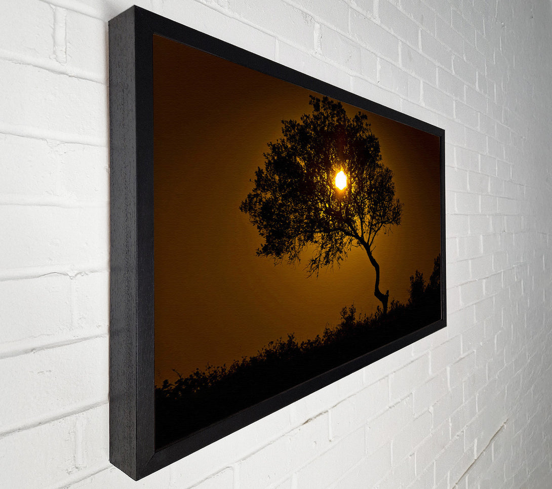  A Canvas Print of Chocolate Sunset Tree Canvas Print