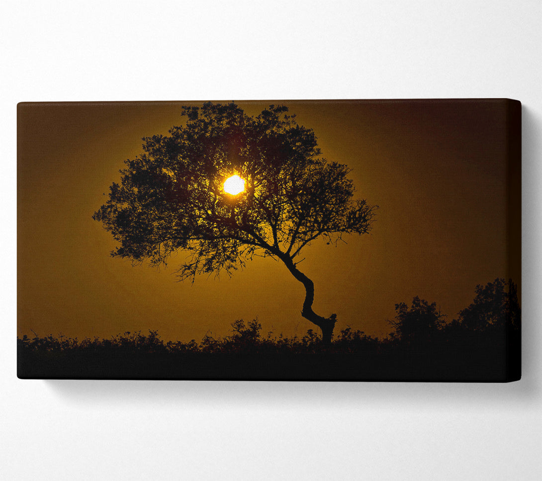  A Canvas Print of Chocolate Sunset Tree Canvas Print