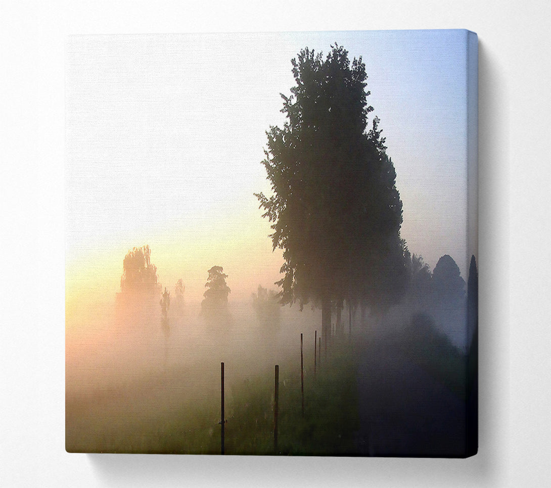  A Canvas Print of Mist In The English Countryside Canvas Art