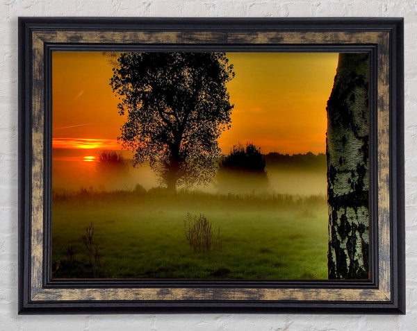 Morning Moment Framed Print