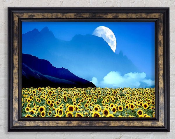 Field Of Illusions Framed Print